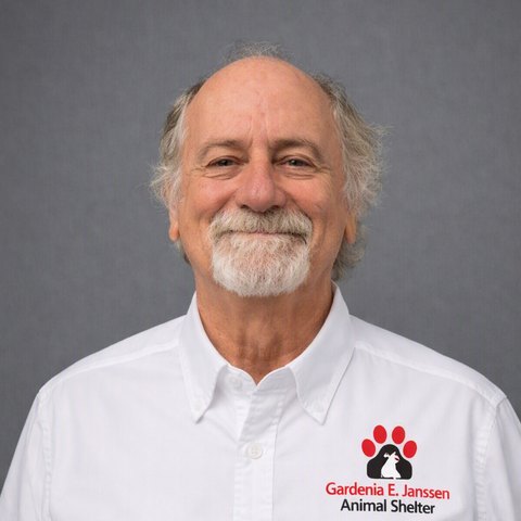 Tommy Koenig, Director